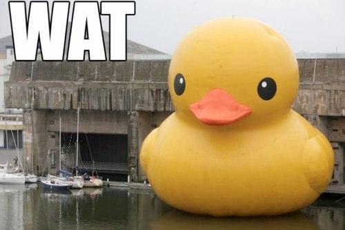 Giant yellow rubber duck floating in a marina